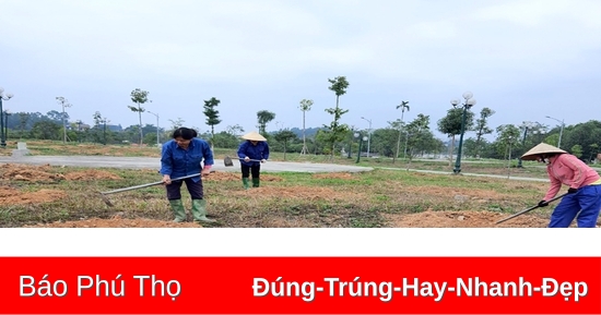 Hung Kings’ Temple historical site prepares seedlings for the 2023 tree ...