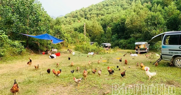 Nomadic Chicken Farming - Preserving and Promoting the Multi-Claw ...